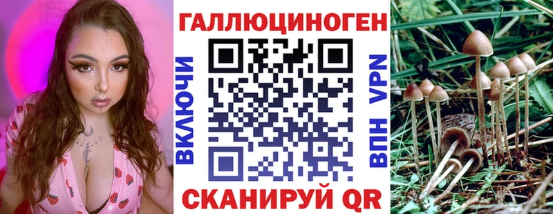 Купить где  Вологда  Псилоцибиновые грибы MAGIC MUSHROOMS 