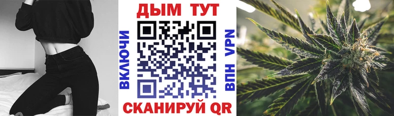 Купить закладки  Вологда  Бошки Шишки марихуана 